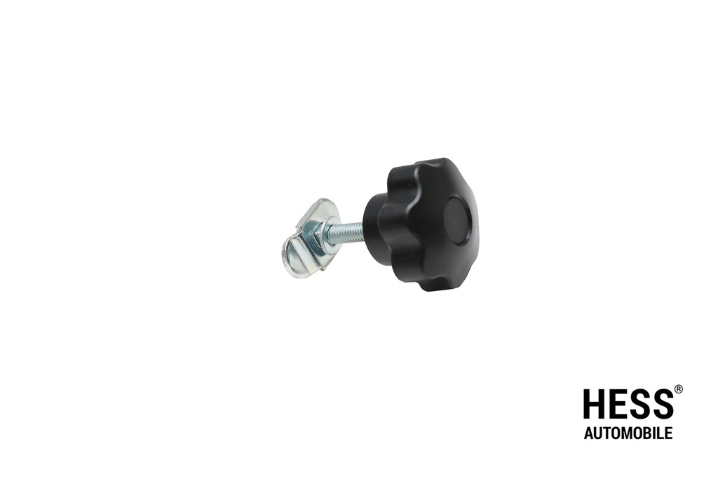 Schraubfitting M8x40mm mit Sterngriff, verzinkt