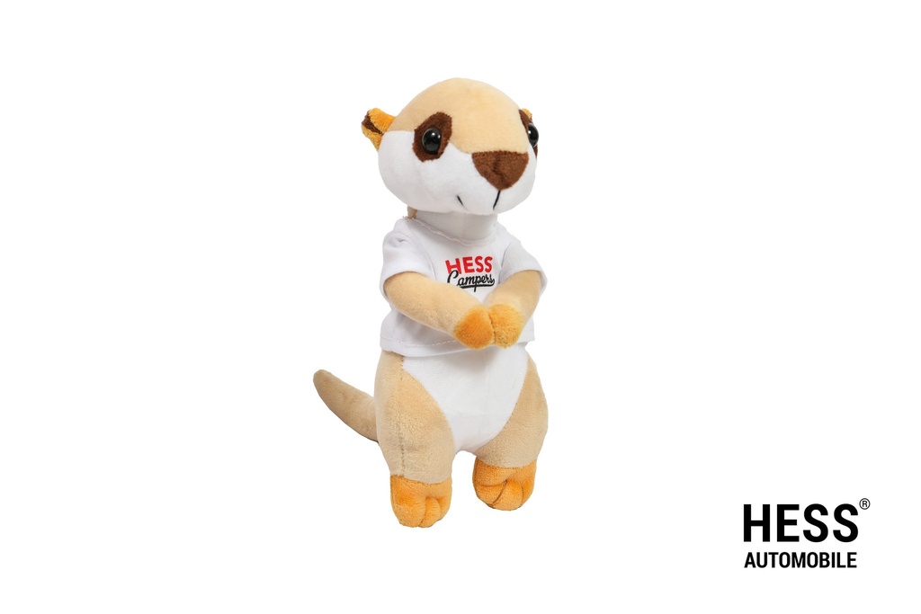 Werni, unser Garagen-Maskottchen